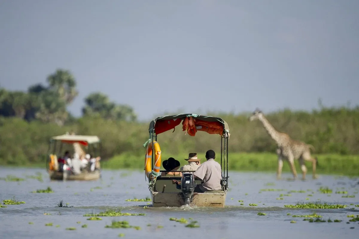 Lodges in Ruaha and Nyerere for wildlife viewing